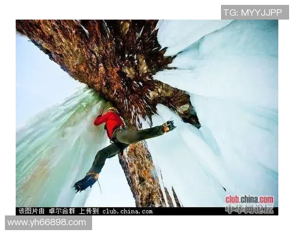 杭州极限运动队战术创新引发热议探索极限运动新未来